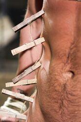 Госпожа, пощады!