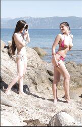 Подходящее местечко для утех