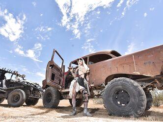 Приключения королевы пустыни