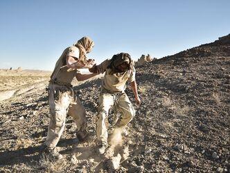 Приключения королевы пустыни