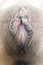 Показываю писю специально для фанатов