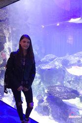 Эксклюзив для моих поклонников